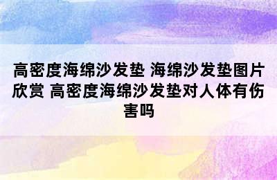 高密度海绵沙发垫 海绵沙发垫图片欣赏 高密度海绵沙发垫对人体有伤害吗